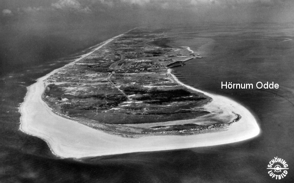Hoernum_Odde1