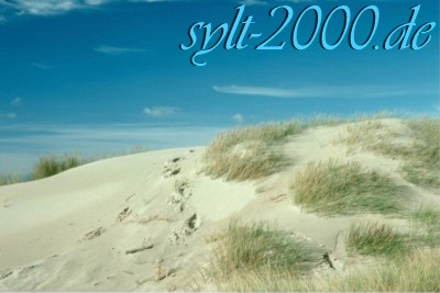 sylt400